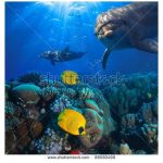 آسمان مجازی طرح دریا