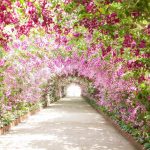 آسمان مجازی طرح طبیعت