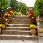 سقف کشسان طرح طبیعت