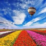 سقف کشسان طرح گلزار