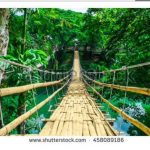 سقف کشسان طرح پل