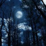 سقف کشسان طرح شب