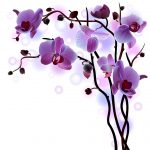 آسمان مجازی طرح گل