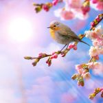 آسمان مجازی طرح گل