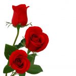 آسمان مجازی طرح گل