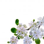 آسمان مجازی طرح گل