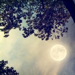 آسمان مجازی طرح برگ