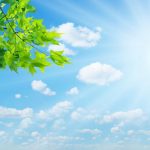 آسمان مجازی طرح برگ