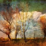 آسمان مجازی طرح درخت