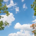 آسمان مجازی طرح درخت