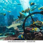 آسمان مجازی طرح ماهی